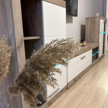 Apartment Vlasic Hana *