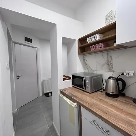 Vlasic Hana Apartment Vrsac