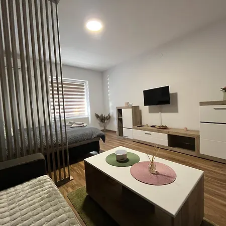 Apartment Vlasic Hana *