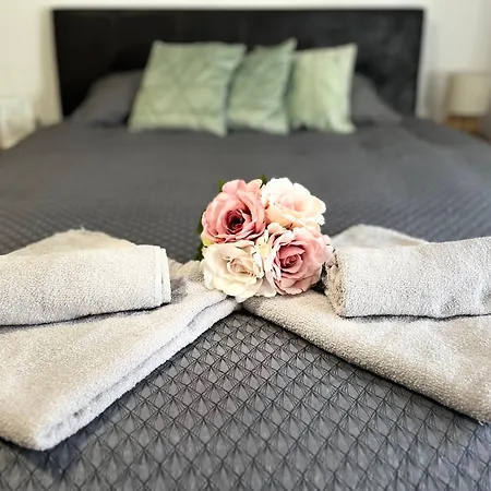 Vlasic Hana 아파트 브르사츠