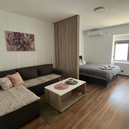 Apartment Vlasic Hana Vrsac