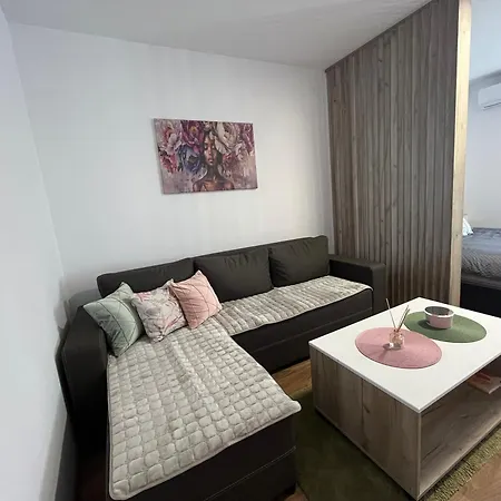 Vlasic Hana * 브르사츠