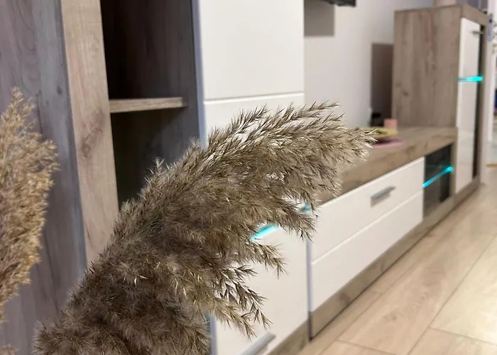 アパート Vlasic Hana *