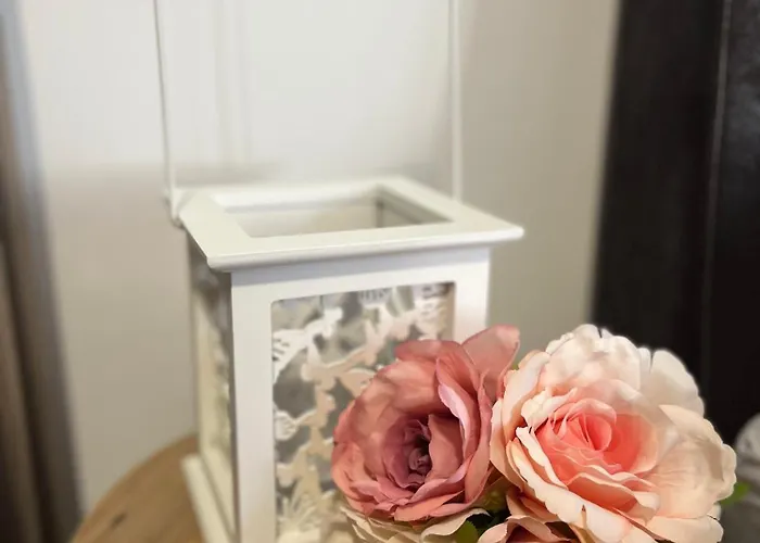 Vlasic Hana * 브르사츠