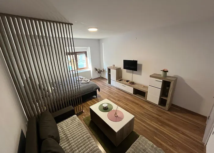 Vlasic Hana 아파트 *