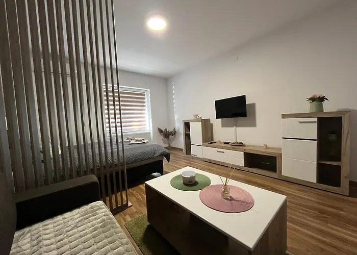 アパート Vlasic Hana *