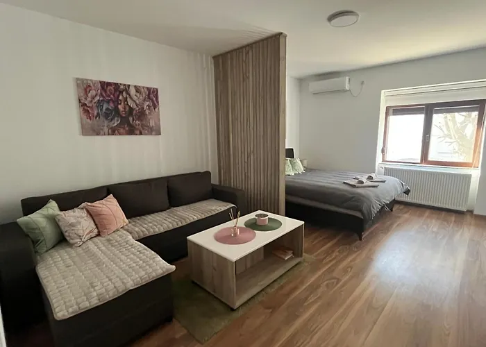 아파트 Vlasic Hana 브르사츠