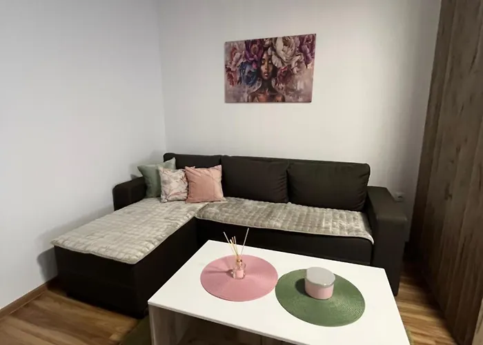 Vlasic Hana ヴルシャツ