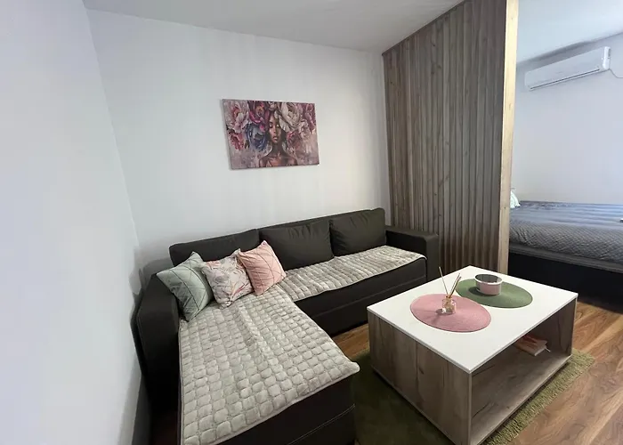 Vlasic Hana * 브르사츠